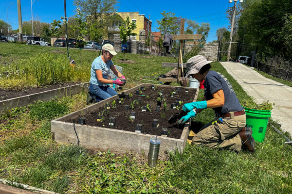 Earth Day 2025-3 Earth Day 2025-3