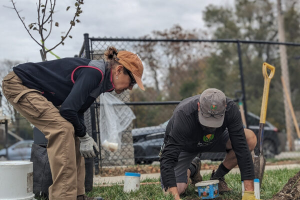 FD of Spring FD of Spring